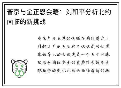 普京与金正恩会晤：刘和平分析北约面临的新挑战