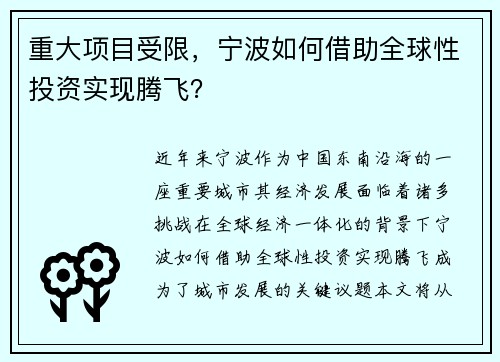 重大项目受限，宁波如何借助全球性投资实现腾飞？