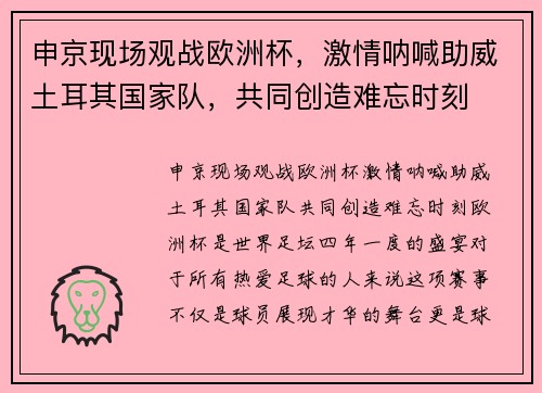 申京现场观战欧洲杯，激情呐喊助威土耳其国家队，共同创造难忘时刻