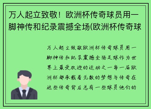 万人起立致敬！欧洲杯传奇球员用一脚神传和纪录震撼全场(欧洲杯传奇球场纪录片)