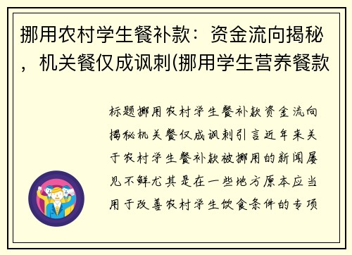 挪用农村学生餐补款：资金流向揭秘，机关餐仅成讽刺(挪用学生营养餐款如何处罚)