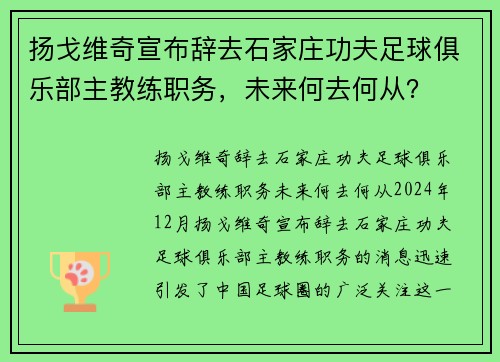 扬戈维奇宣布辞去石家庄功夫足球俱乐部主教练职务，未来何去何从？