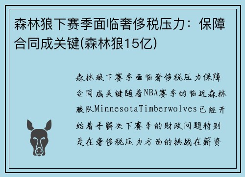 森林狼下赛季面临奢侈税压力：保障合同成关键(森林狼15亿)